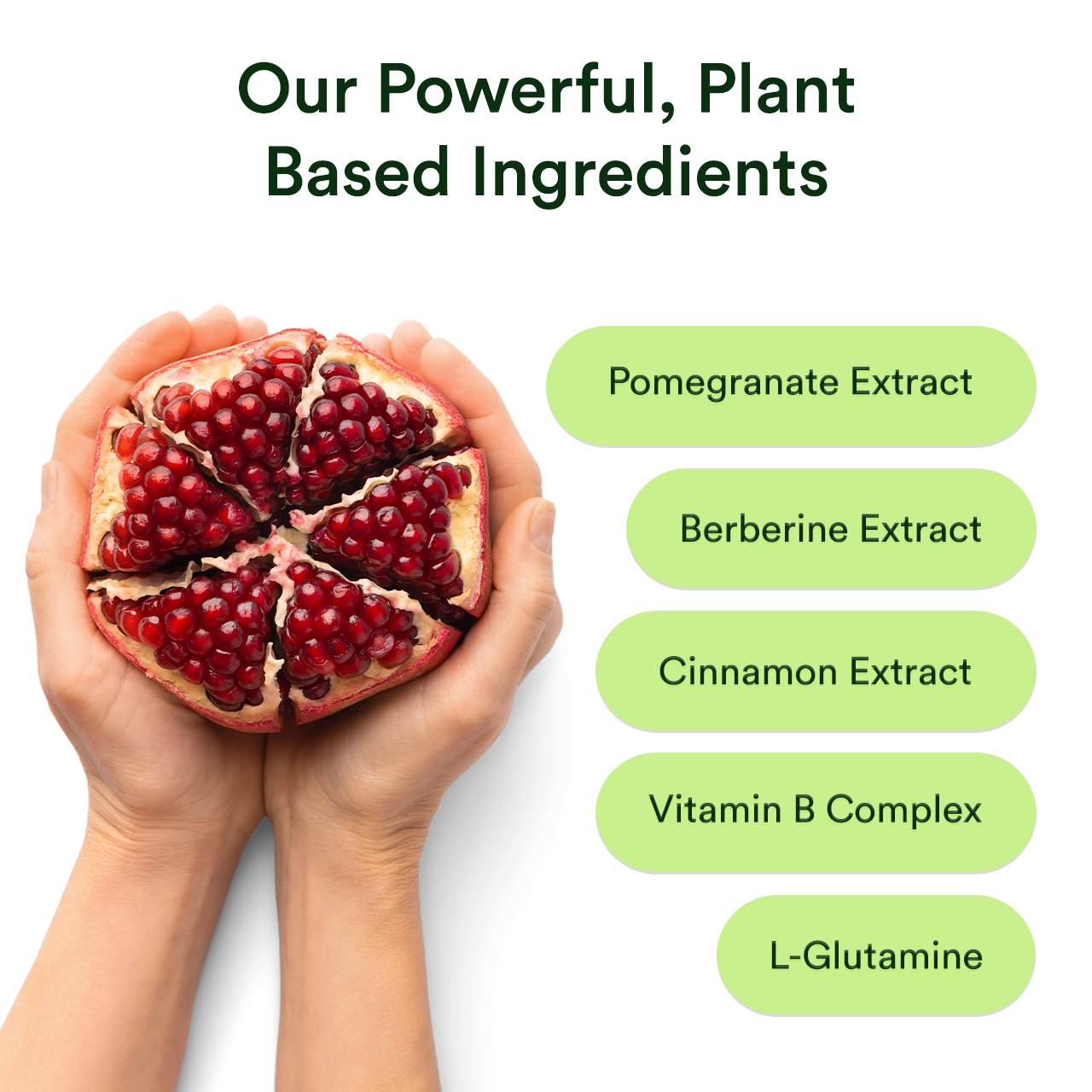 GLP-1 Reset Program - 60 Day Supply